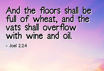 Year of the Overflow